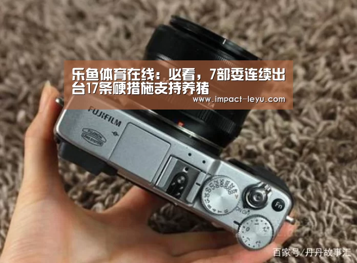 乐鱼